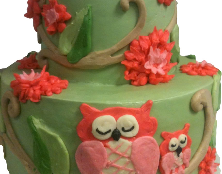 Owl